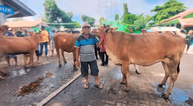 SEPI: Pasar Hewan Wonoasih Kota Probolinggo sepi pengunjung akibat kembali merebaknya virus PMK. (foto: Hafiz Rozani).
