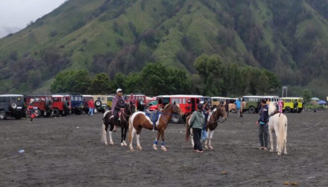 
					RAMAI: Para wisatawan memadati kawasan wisata Gunung Bromo saat libur pergantian tahun. (foto: Hafiz Rozani).
