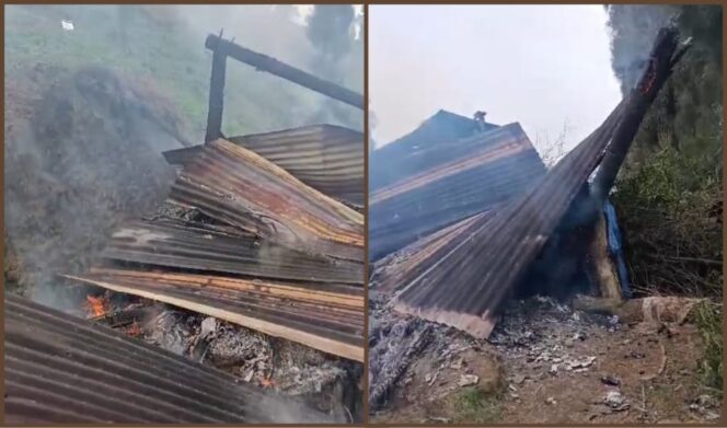 
					Tangkapan layar video bangunan penyimpanan kentang milik petani ludes terbakar. 