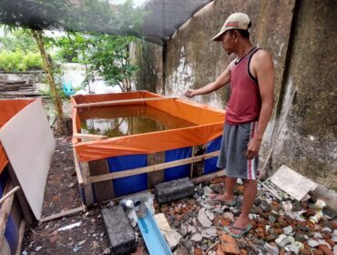 KEMALINGAN: Pemilik kolam lele, Suhariaji, menunjukkan kolam lelenya yang baru diserok maling. (foto: Hafiz Rozani).
