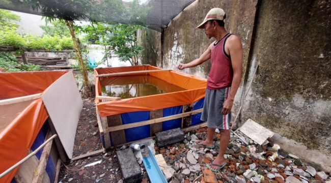 KEMALINGAN: Pemilik kolam lele, Suhariaji, menunjukkan kolam lelenya yang baru diserok maling. (foto: Hafiz Rozani).
