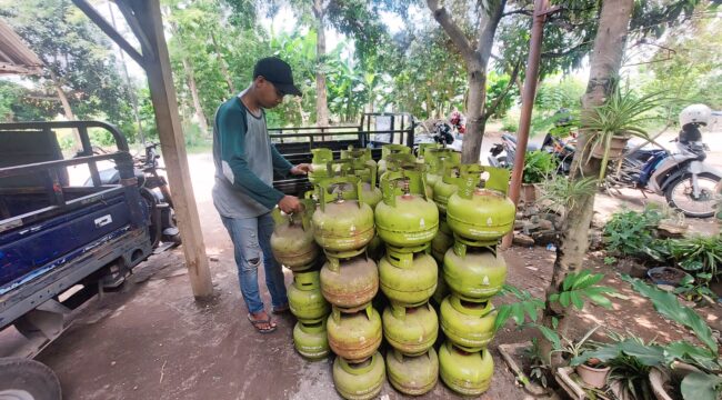 BERKURANG : Pemilik pangkalan di Kota Probolinggo, Muhammad Qosim, sedang merapikan tabung LPG 3 Kg. (foto: Hafiz Rozani).
