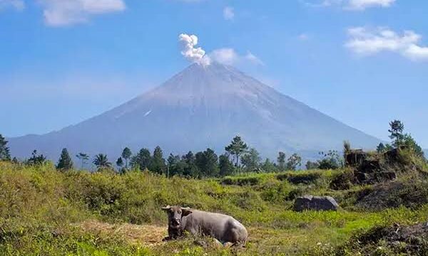 Gunung Semeru.