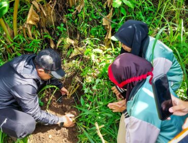 TANGGAP BENCANA: Bupati Probolinggo terpilih, Gus Haris, menaman Vetiver Akar Wangi di Desa Betek Taman, Kec. Gading, bersama mahasiswa KKN UNZAH. (foto: Moch. Rochim)
