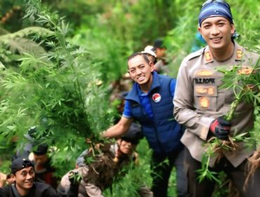 Polres Lumajang saat menyisir ladang ganja diblereng Semeru, Taman Nasional Bromo Tengger Semeru (TNBTS). 
