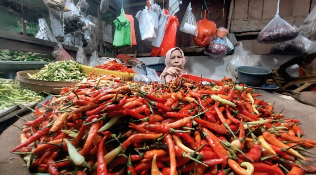 TURUN: Harga komoditas cabai di Pasar Baru Kota Probolinggo terpantau mulai turun. (foto: Hafiz Rozani).