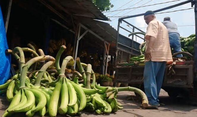 
					Penjual Pisang Agung Senduro di Pasar Senduro, Lumajang.