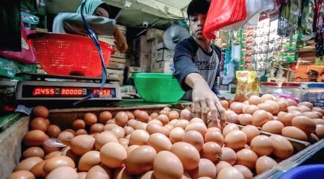 Pedagang telur di Pasar Senduro, Lumajang.