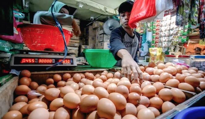 
					Pedagang telur di Pasar Senduro, Lumajang.