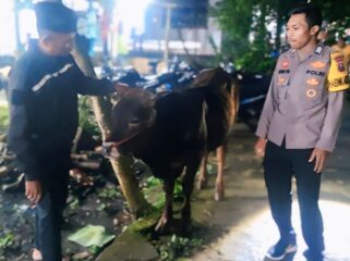 DITEMUKAN: Anggota Polsek Sukapura, Polres Probolinggo, bersama sapi milik Hanina yang berhasil ditemukan pasca dicuri maling. (foto: Istimewa)