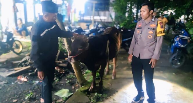 
					DITEMUKAN: Anggota Polsek Sukapura, Polres Probolinggo, bersama sapi milik Hanina yang berhasil ditemukan pasca dicuri maling. (foto: Istimewa)