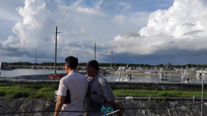 
					POLEMIK: Tambak Udang di Desa Kepanjen dan Desa Mayangan, Kecamatan Gumukmas, Kabupaten Jember, yang limbahnya dikeluhkan warga. (foto: M. Abd. Rozak Mubarok).
