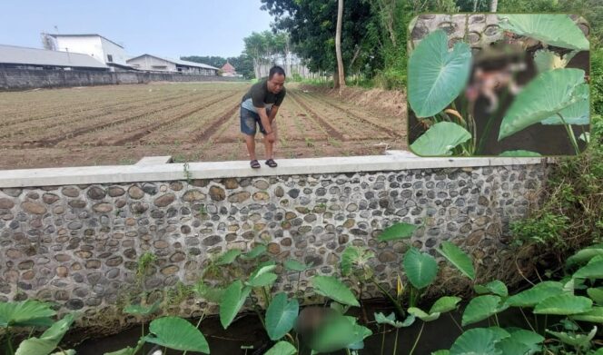 
					HEBOH! Warga menunjukkan lokasi penemuan jasad bayi di sungai Kelurahan Pilang, Kec. Kademangan, Kota Probolinggo. Insert: Jasad bayi saat ditemukan. (foto: Hafiz Rozani)