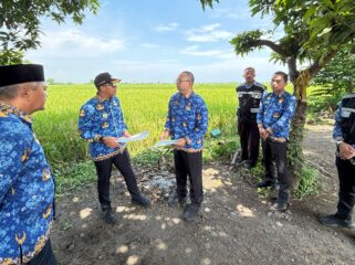 SURVEI: Bupati Probolinggo, Gus Haris (bertopi) saat meninjau lahan yang dipersiapkan untuk Sekolah Rakyat di Kelurahan Patokan, Kec. Kraksaan. (foto: Moch. Rochim)