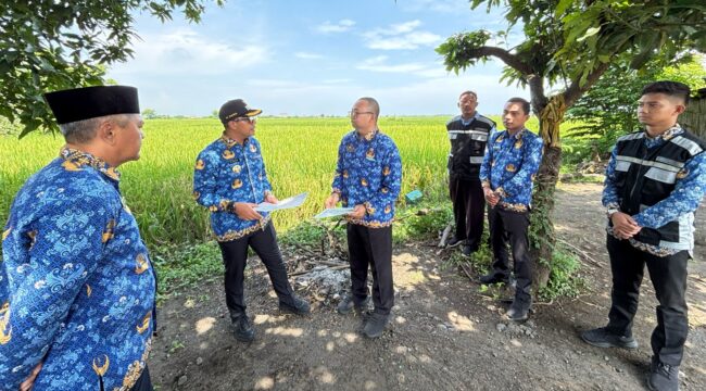 SURVEI: Bupati Probolinggo, Gus Haris (bertopi) saat meninjau lahan yang dipersiapkan untuk Sekolah Rakyat di Kelurahan Patokan, Kec. Kraksaan. (foto: Moch. Rochim)