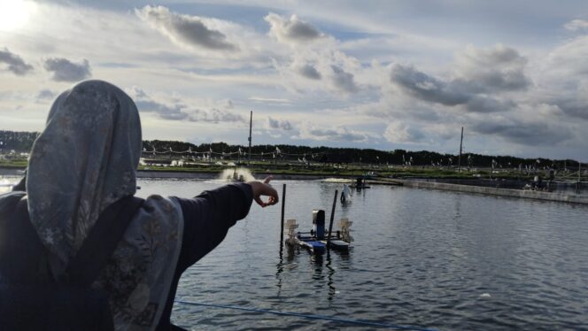 
					PENCEMARAN: Kondisi tambak udang mikii PT Delta Guna Sukses (DGS) di Desa Kepanjen, Kecamatan Gumukmas, Kabupaten Jember. (foto: M. Abd. Rozak Mubarok).