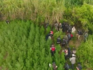 FOTO UDARA: Pengambilan gambar lahan ganjadi kawasan Taman Nasional Bromo Tengger Semeru (TNBTS) via drone. (foto: istimewa)