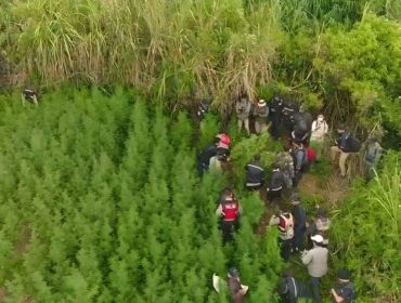 FOTO UDARA: Pengambilan gambar lahan ganjadi kawasan Taman Nasional Bromo Tengger Semeru (TNBTS) via drone. (foto: istimewa)